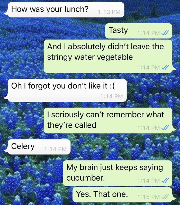 Chat about lunch where someone forgets the word for 'celery' and amusingly calls it 'stringy water vegetable'.
