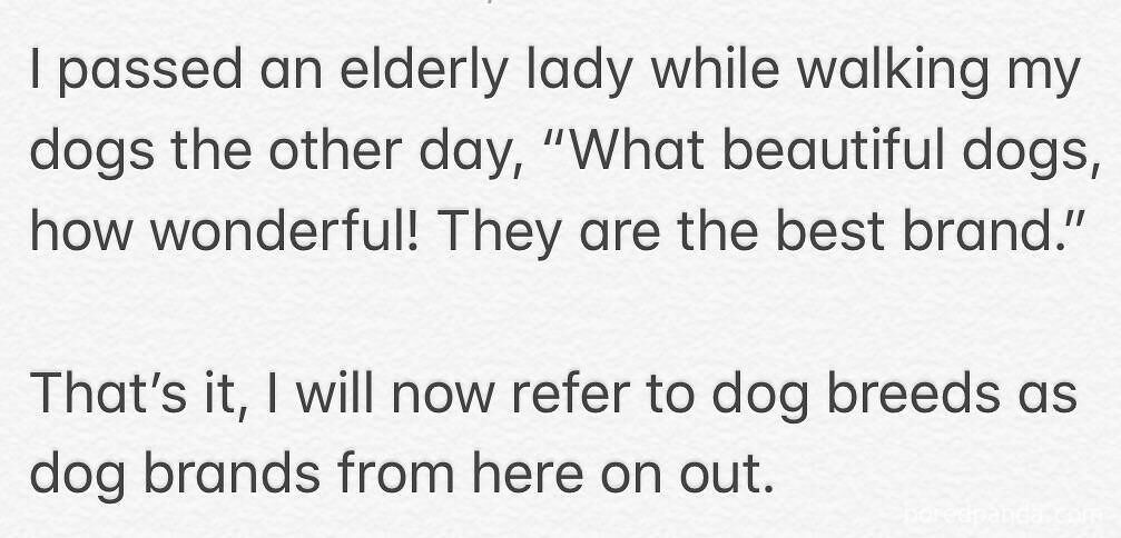 Text about someone humorously calling dog breeds "dog brands."