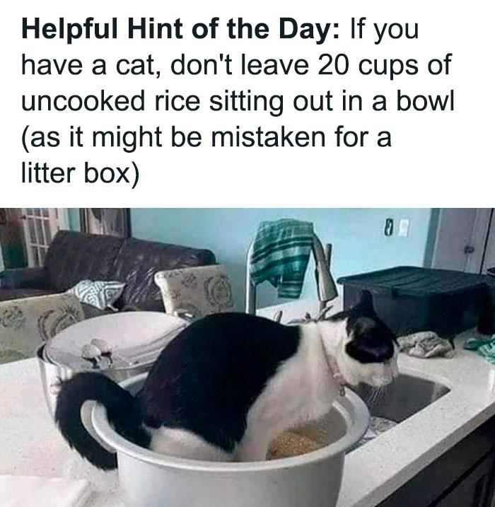 Terrible-Food-Pics-Why-Dont-Do-Potlucks