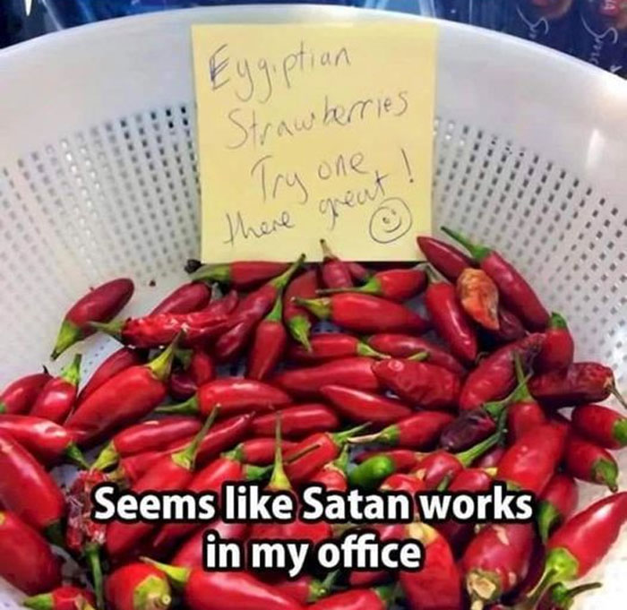 Terrible-Food-Pics-Why-Dont-Do-Potlucks