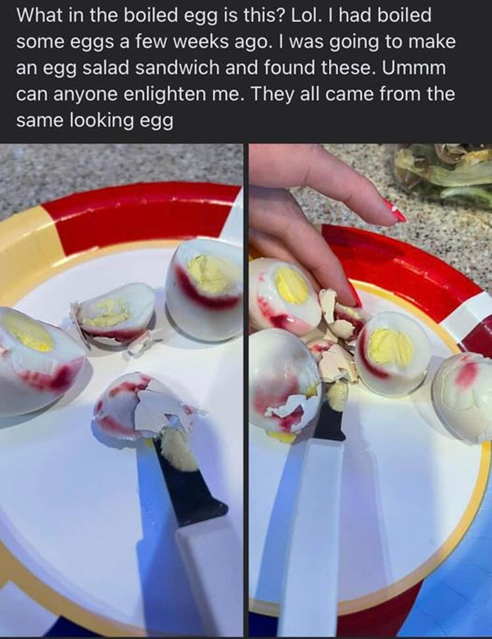 Terrible-Food-Pics-Why-Dont-Do-Potlucks