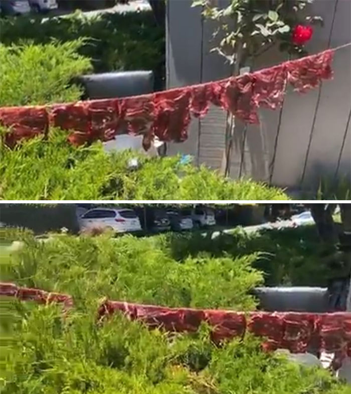 "This Is Why I Don't Do Potlucks": People Share Pics Of Seriously Gross Food