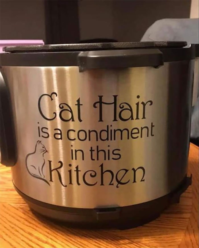 Terrible-Food-Pics-Why-Dont-Do-Potlucks