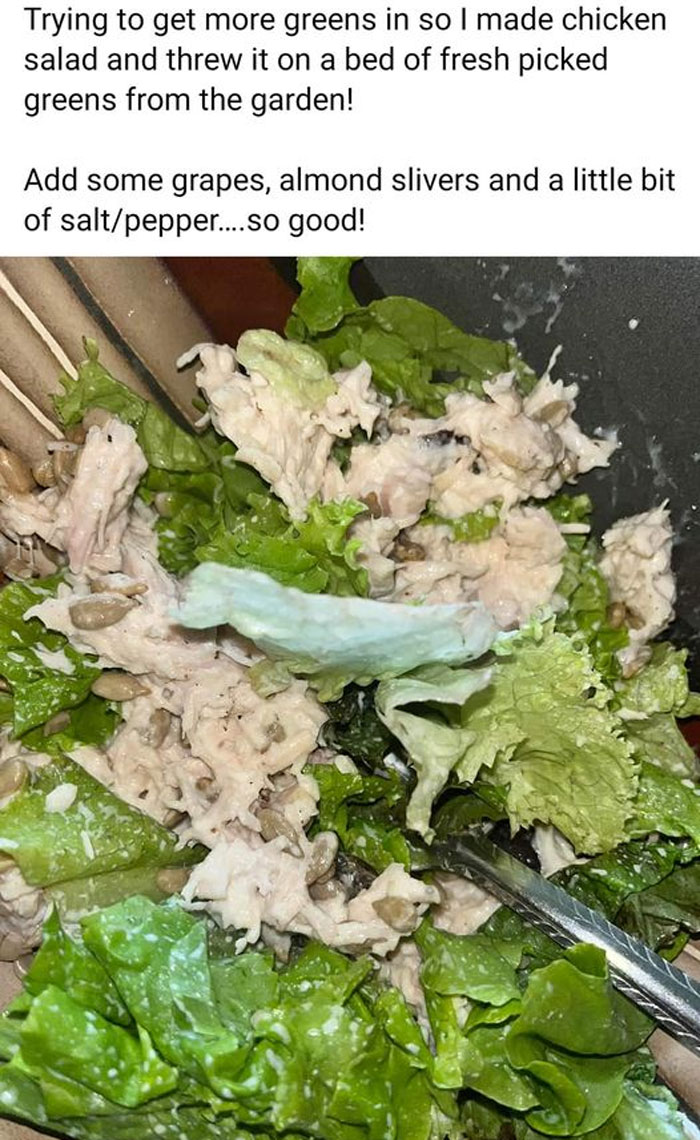 Terrible-Food-Pics-Why-Dont-Do-Potlucks