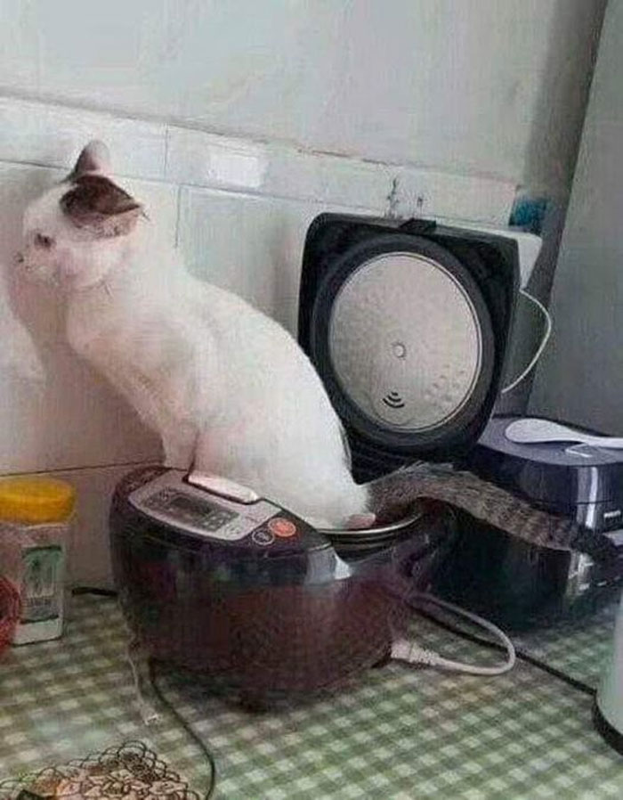 "This Is Why I Don't Do Potlucks": People Share Pics Of Seriously Gross Food