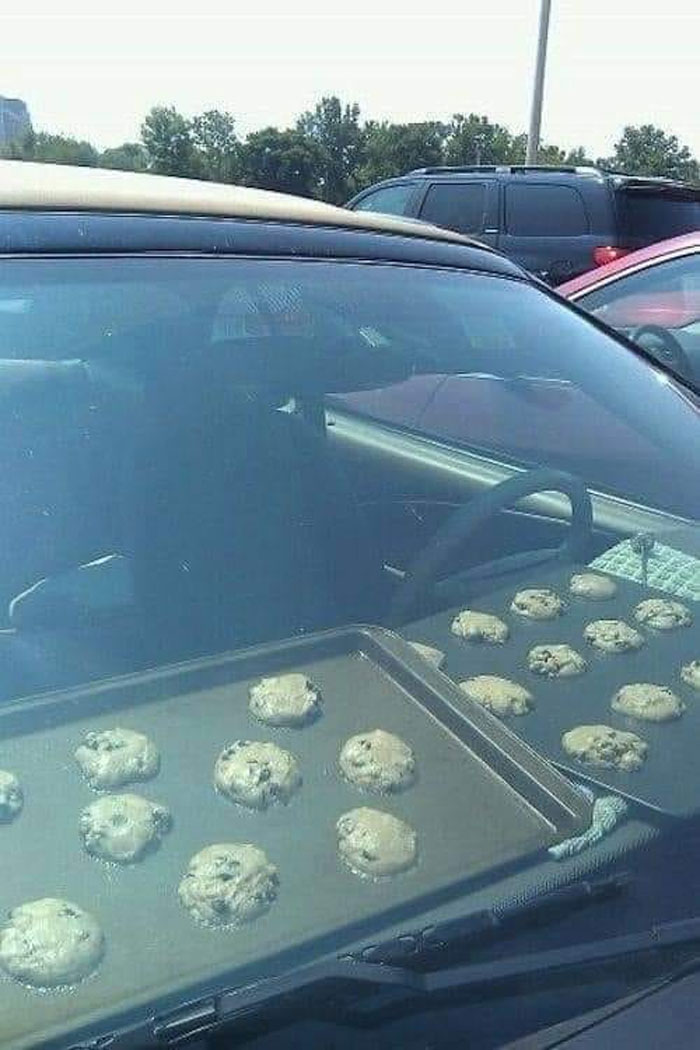 Terrible-Food-Pics-Why-Dont-Do-Potlucks