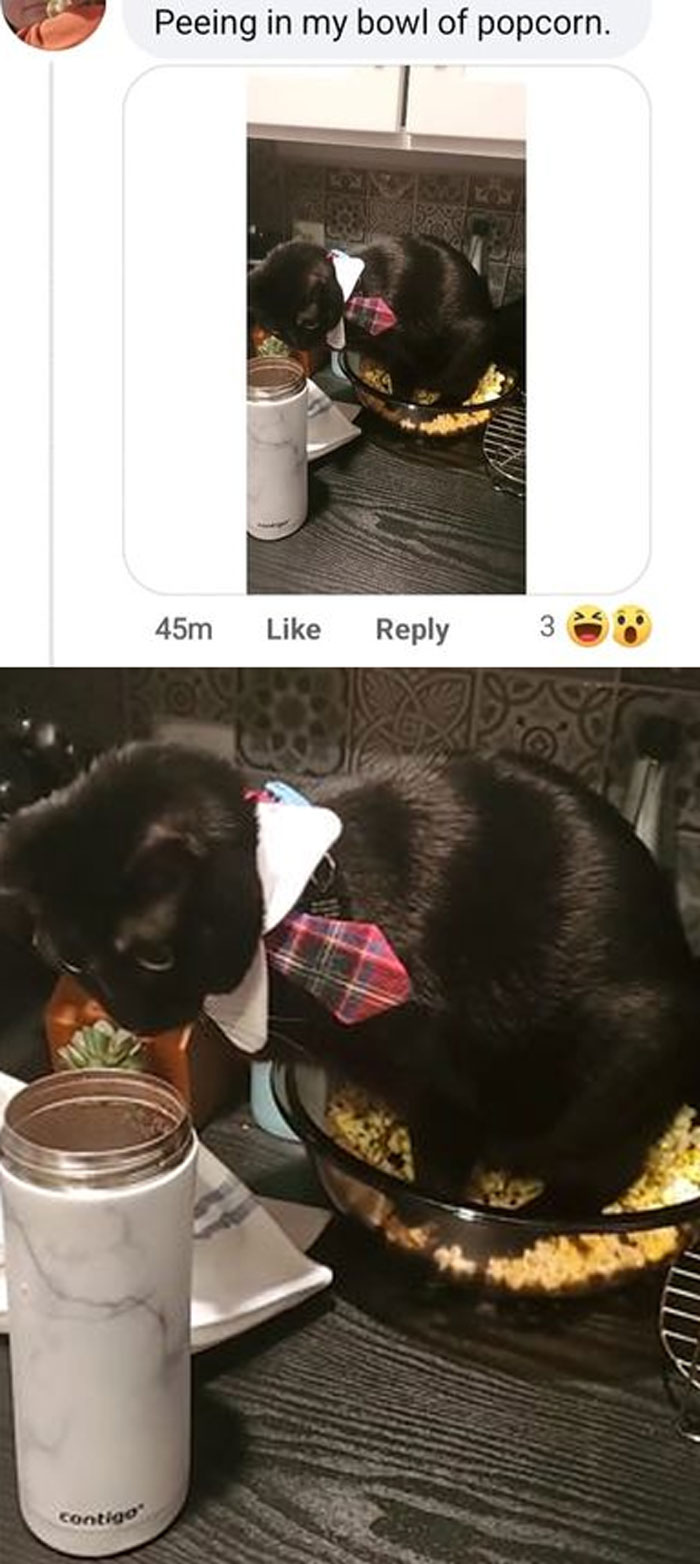 Terrible-Food-Pics-Why-Dont-Do-Potlucks