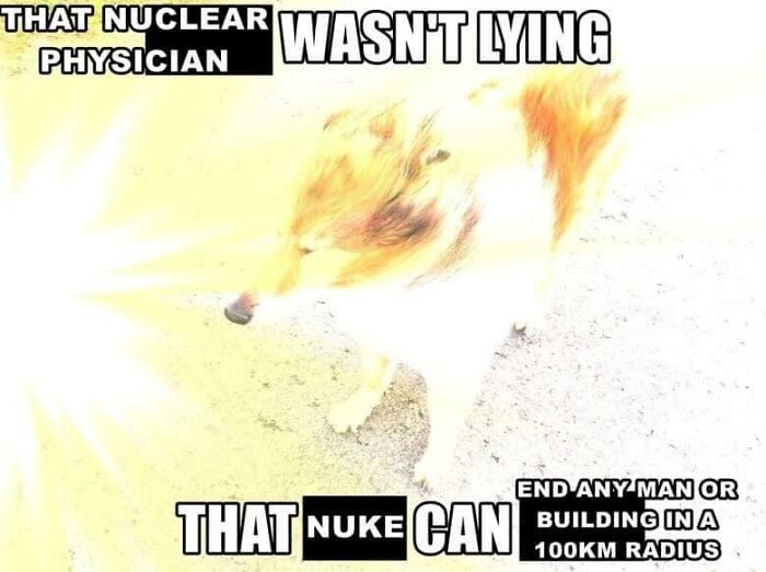 26 Of The Weirdest And Most Funny Images Saved To My Computer.