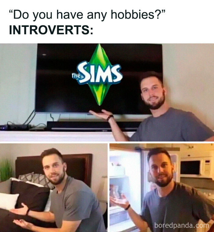 The Sims Memes