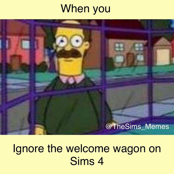 Sims Memes