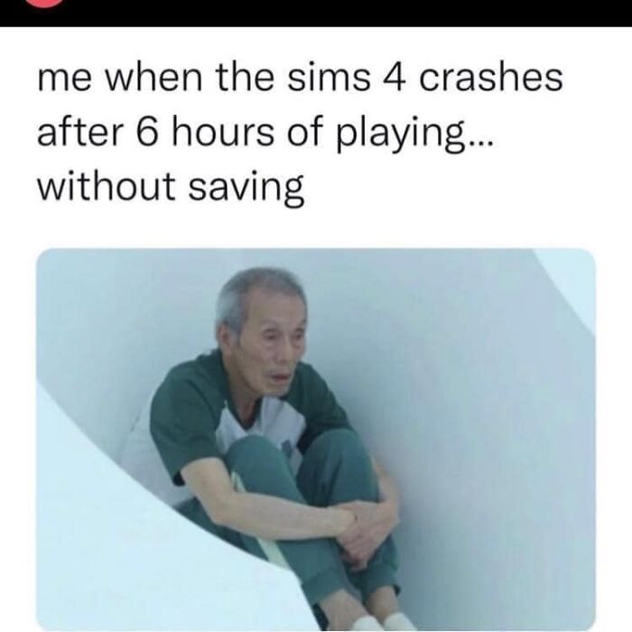 Sims Memes