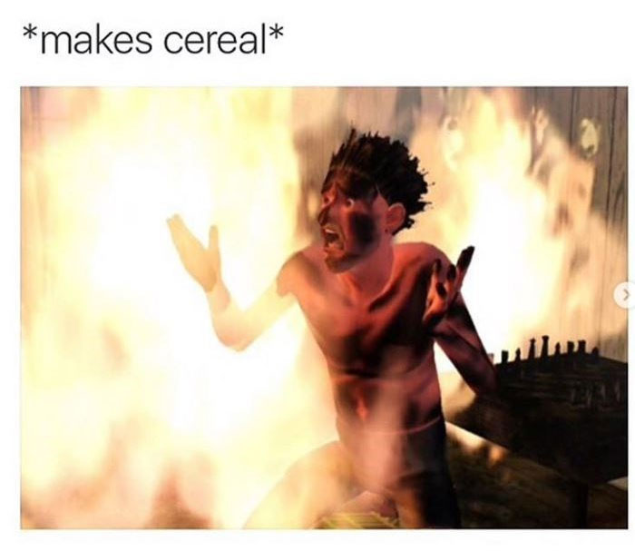 The Sims Memes