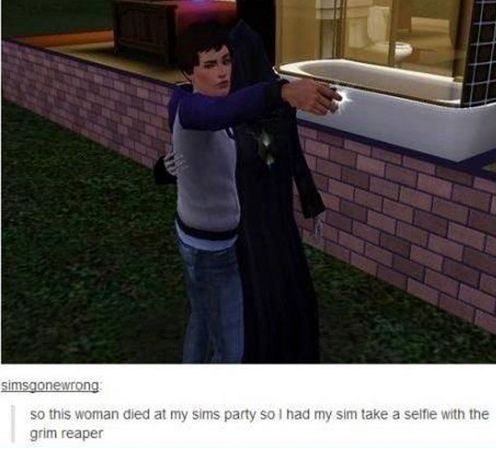 The Sims Memes