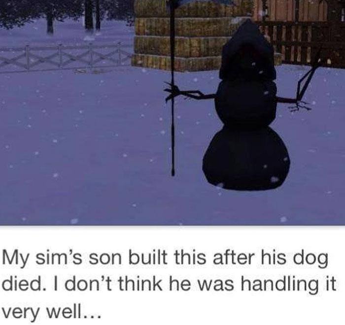The Sims Memes