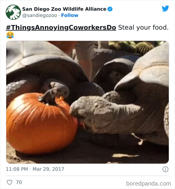 Things-Annoying-Coworkers-Do