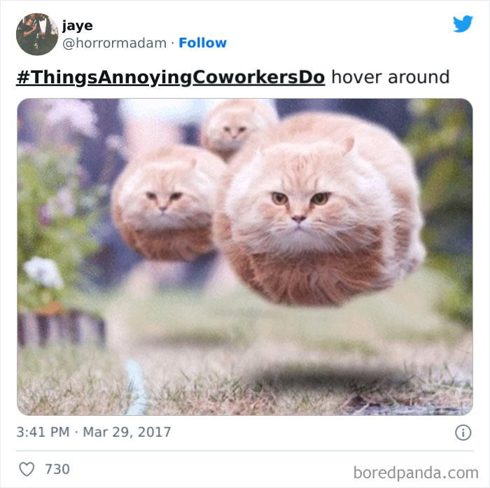 Things-Annoying-Coworkers-Do