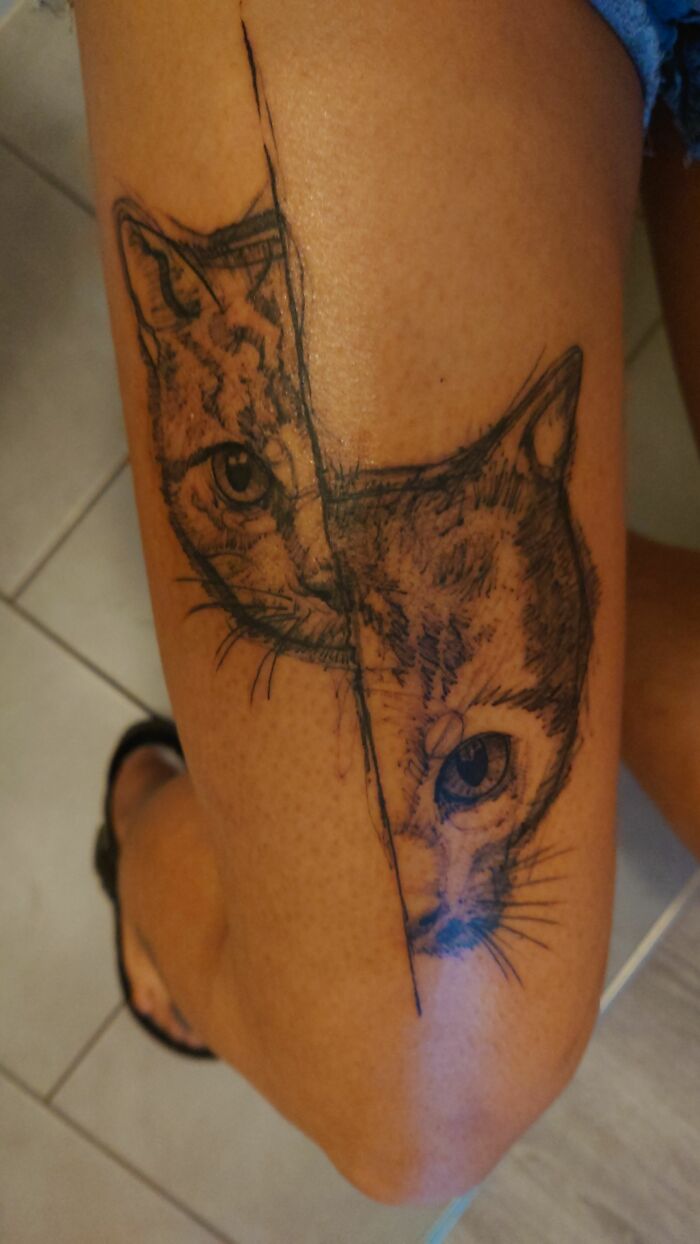 Cat tattoo on a person's leg, showcasing two halves of a cat face with detailed line work.