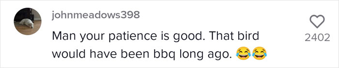 Millions Of People Can’t Get Enough Of The ‘Useless Farm’s’ Animals, Especially An Emu Named Karen, Who’s Out For Blood Millions Of People Can’t Get Enough Of The ‘Useless Farm’s’ Animals, Especially An Emu Named Karen, Who’s Out For Blood