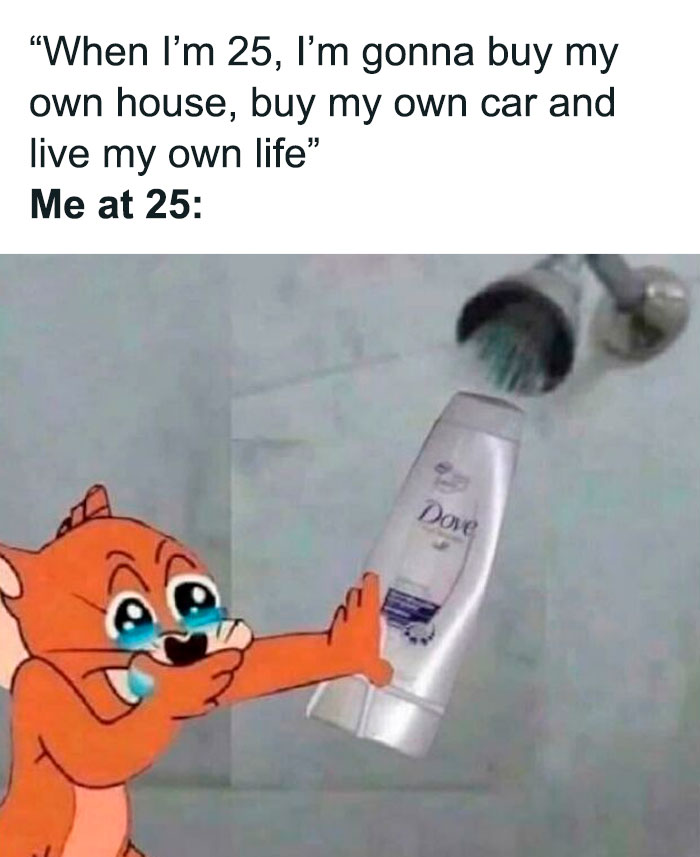 Trying-To-Be-More-Adult-Adulting