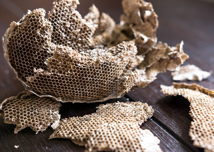 30 Of The Creepiest Things People Have Ever Discovered In Homes