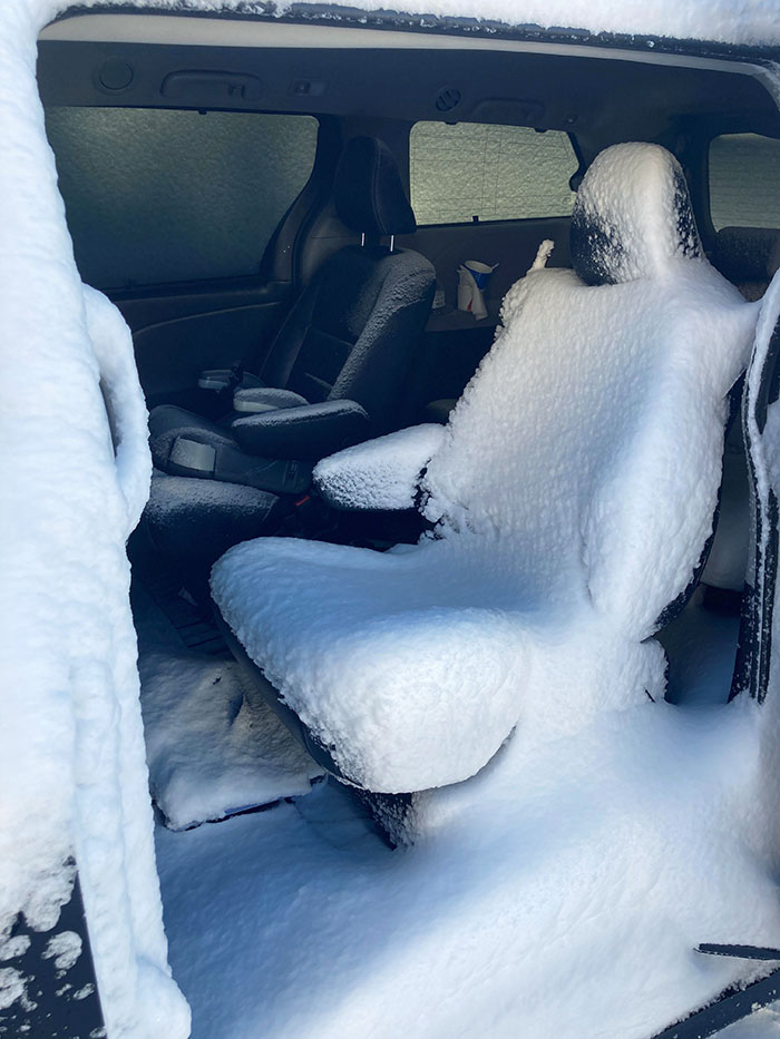 Coworker’s Kids Left The Van Door Open Before A Storm