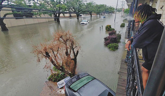 My Front Yard 12 Hours Ago