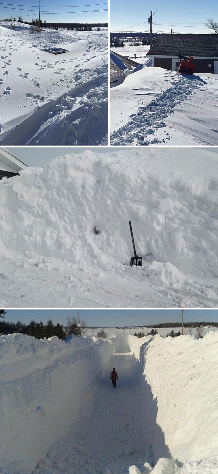 Made It Out - Eastern Canadian Winter