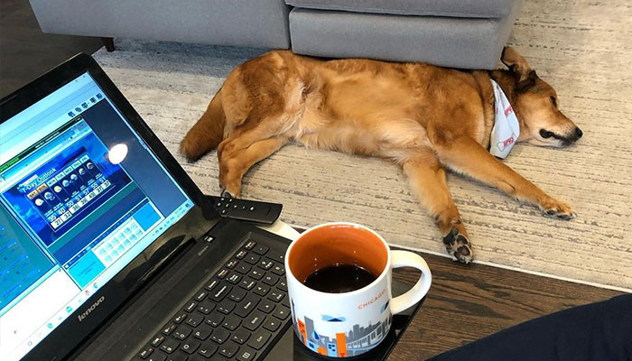 Weatherman Stunned To Discover His TV Is A Touch Screen, And The Internet Can’t Get Enough - 8