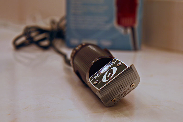 25 Personas cuyo cerebro dejó de funcionar comparten lo más extraño y divertido que hicieron