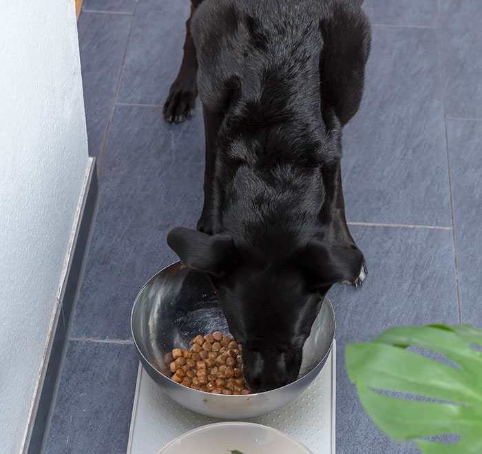 25 Personas cuyo cerebro dejó de funcionar comparten lo más extraño y divertido que hicieron