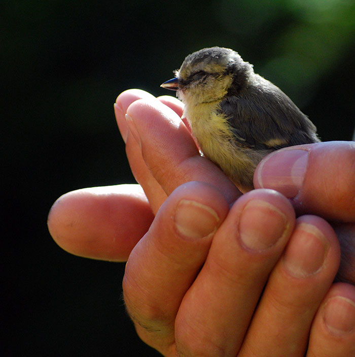 25 Personas cuyo cerebro dejó de funcionar comparten lo más extraño y divertido que hicieron