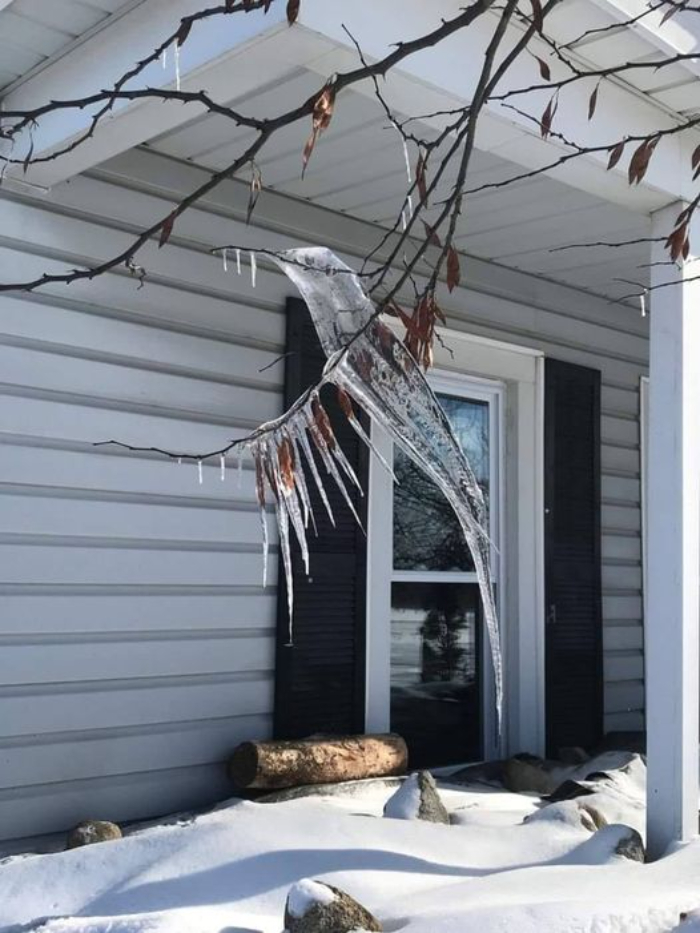 Freeze-Thaw-Refreeze Cycle Creates Hummingbird-Shaped Icicle In Michigan Yard