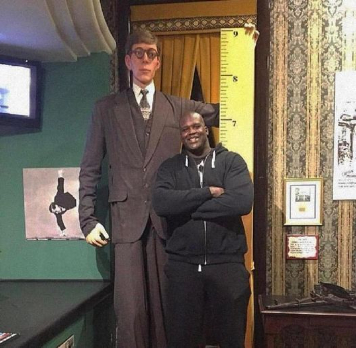 Robert Wadlow Measured 272cm