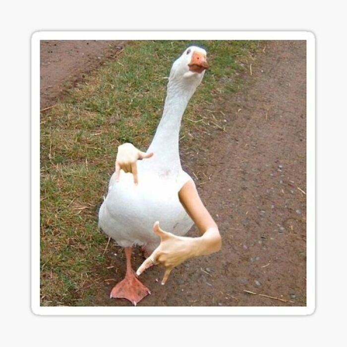 26 Of The Weirdest And Most Funny Images Saved To My Computer.