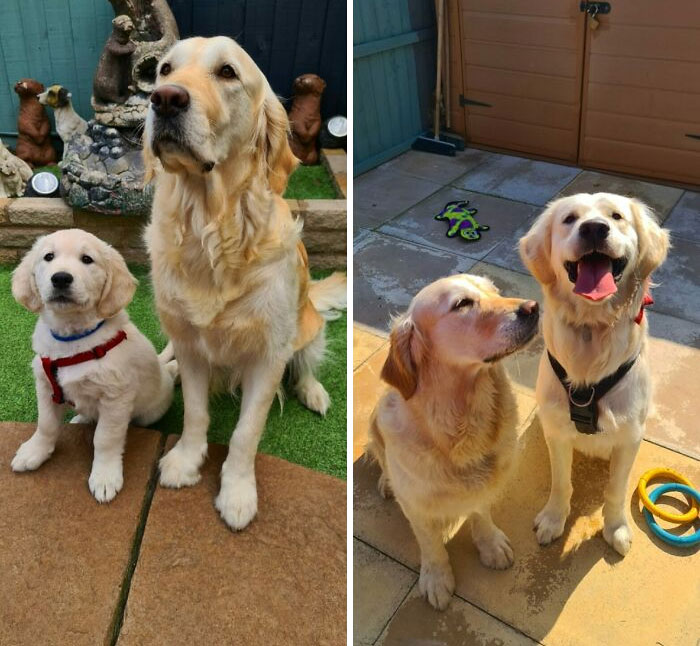 Pancake Was Reunited With His Mum