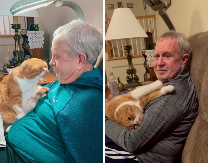 Cat Refuses To Leave The Side Of His Grandpa Who’s Fighting Cancer