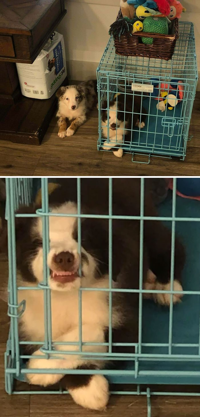 Even When He’s In Time-Out She Never Leaves Her Brother’s Side