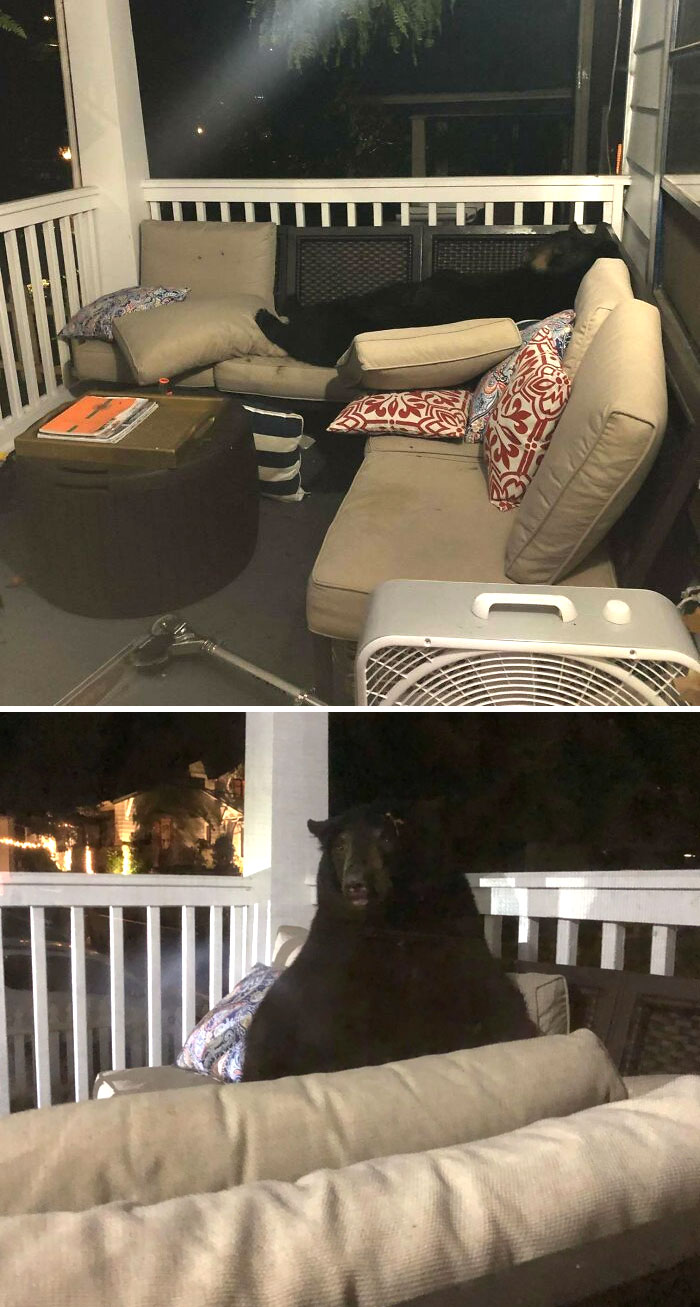 I Think I Have A New Roommate