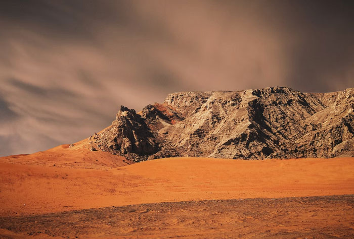 If You're Tired Of All The Depressing News, These 50 Wholesome Stories Might Just Balance Everything Out - 34