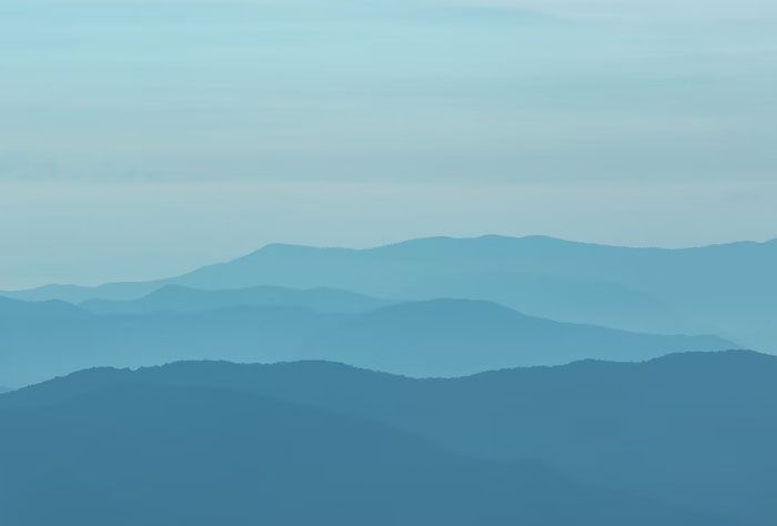 If You're Tired Of All The Depressing News, These 50 Wholesome Stories Might Just Balance Everything Out - 17