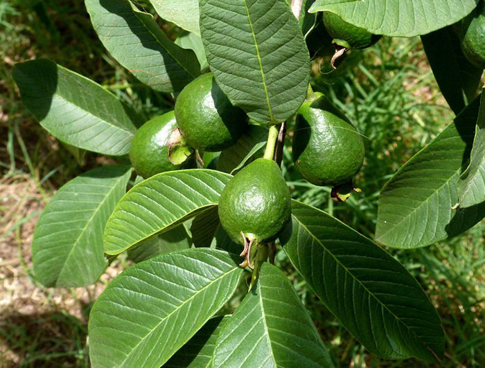 If You're Tired Of All The Depressing News, These 50 Wholesome Stories Might Just Balance Everything Out - 29