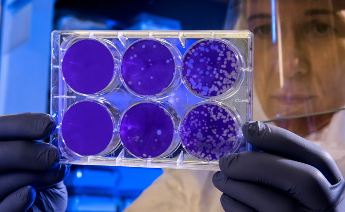 If You're Tired Of All The Depressing News, These 50 Wholesome Stories Might Just Balance Everything Out - 32