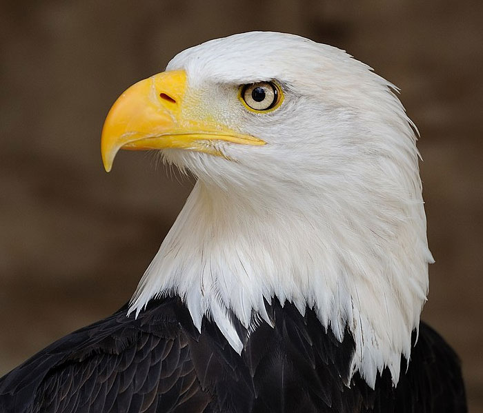 If You're Tired Of All The Depressing News, These 50 Wholesome Stories Might Just Balance Everything Out - 20