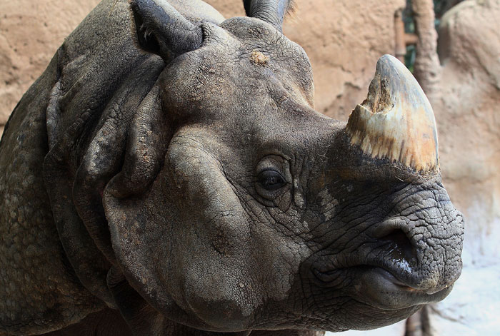 If You're Tired Of All The Depressing News, These 50 Wholesome Stories Might Just Balance Everything Out - 13