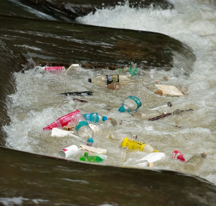 If You're Tired Of All The Depressing News, These 50 Wholesome Stories Might Just Balance Everything Out - 22