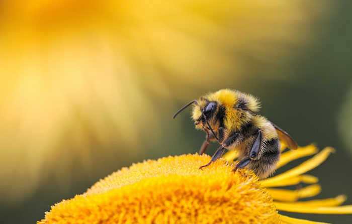 If You're Tired Of All The Depressing News, These 50 Wholesome Stories Might Just Balance Everything Out - 2