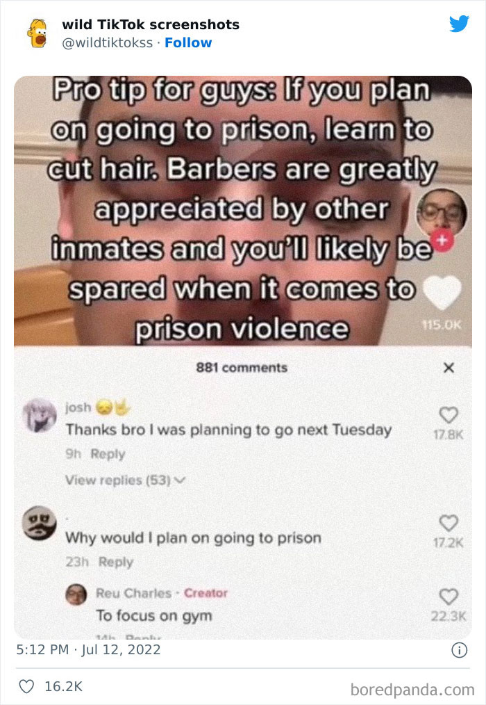 Wild-Tiktoks-Screenshots