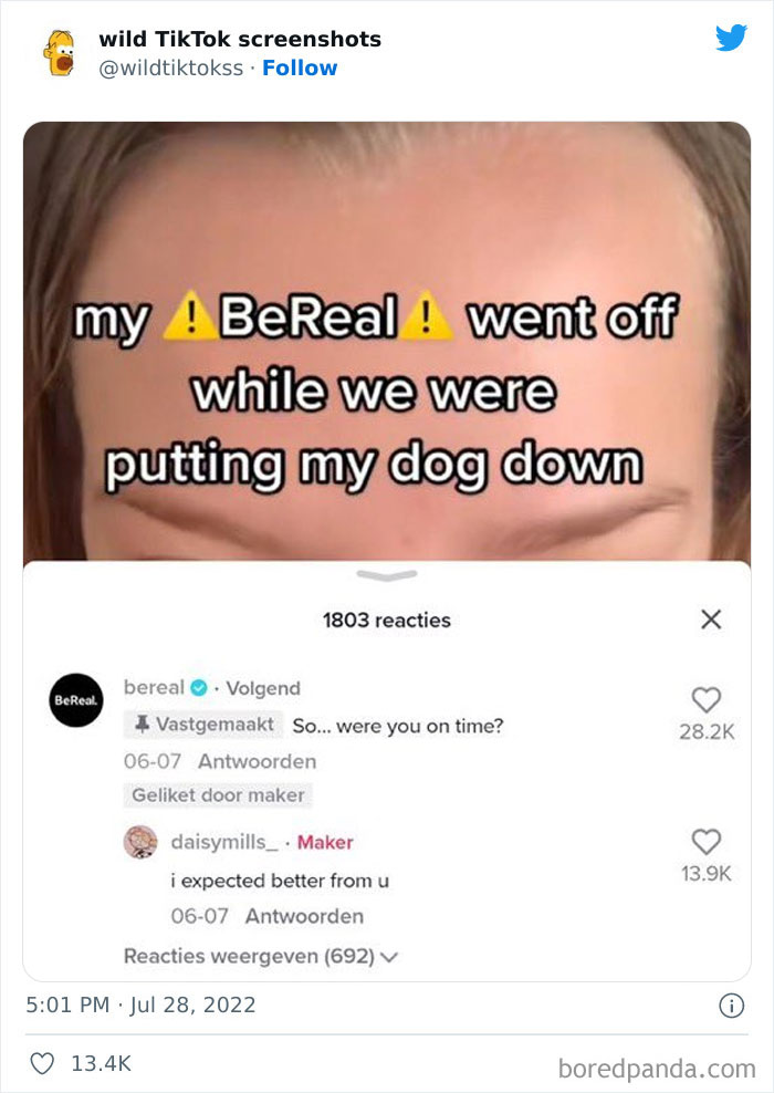 Wild-Tiktoks-Screenshots