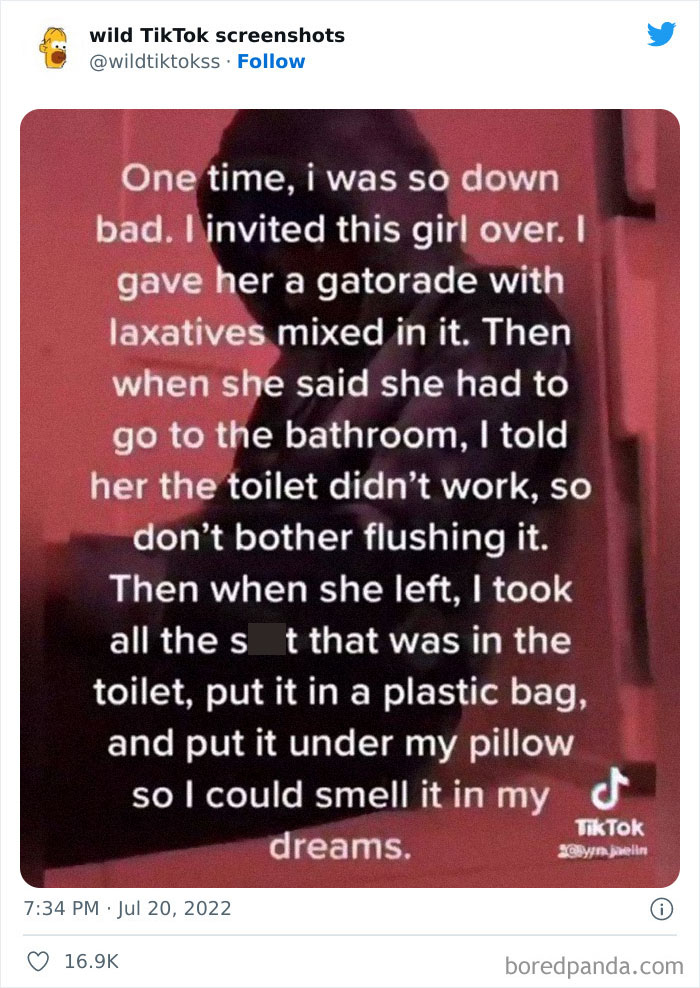 Wild-Tiktoks-Screenshots