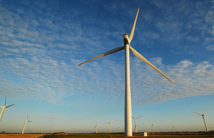 “What’s Something You Like That The Vast Majority Of People Hate?” (30 Answers)